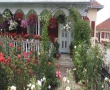 Cazare si Rezervari la Casa La Mosu in Retezat din Nucsoara Hunedoara Hunedoara